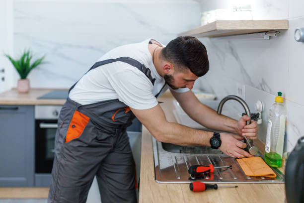 Best Local Plumber Services  in Elkins, AR